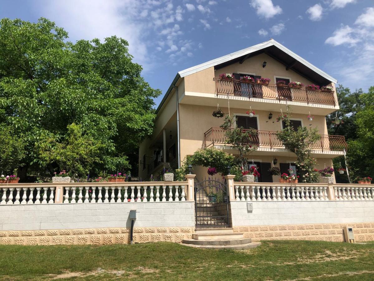 Apartman Ana Vrlika Buitenkant foto