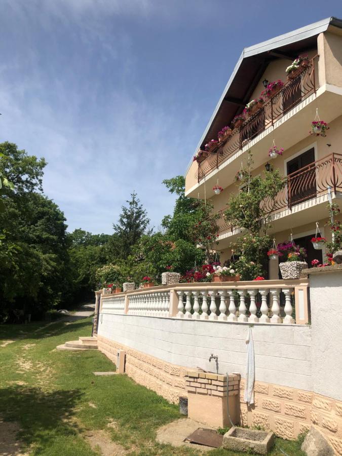 Apartman Ana Vrlika Buitenkant foto