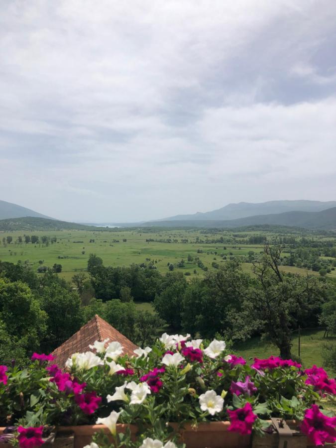 Apartman Ana Vrlika Buitenkant foto